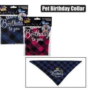 Dress up pet birthday collar